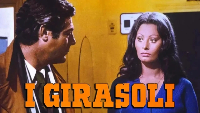 گل آفتابگردان