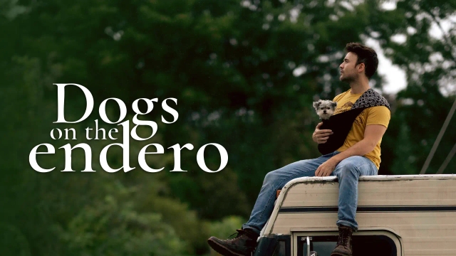 سگ ها در جاده