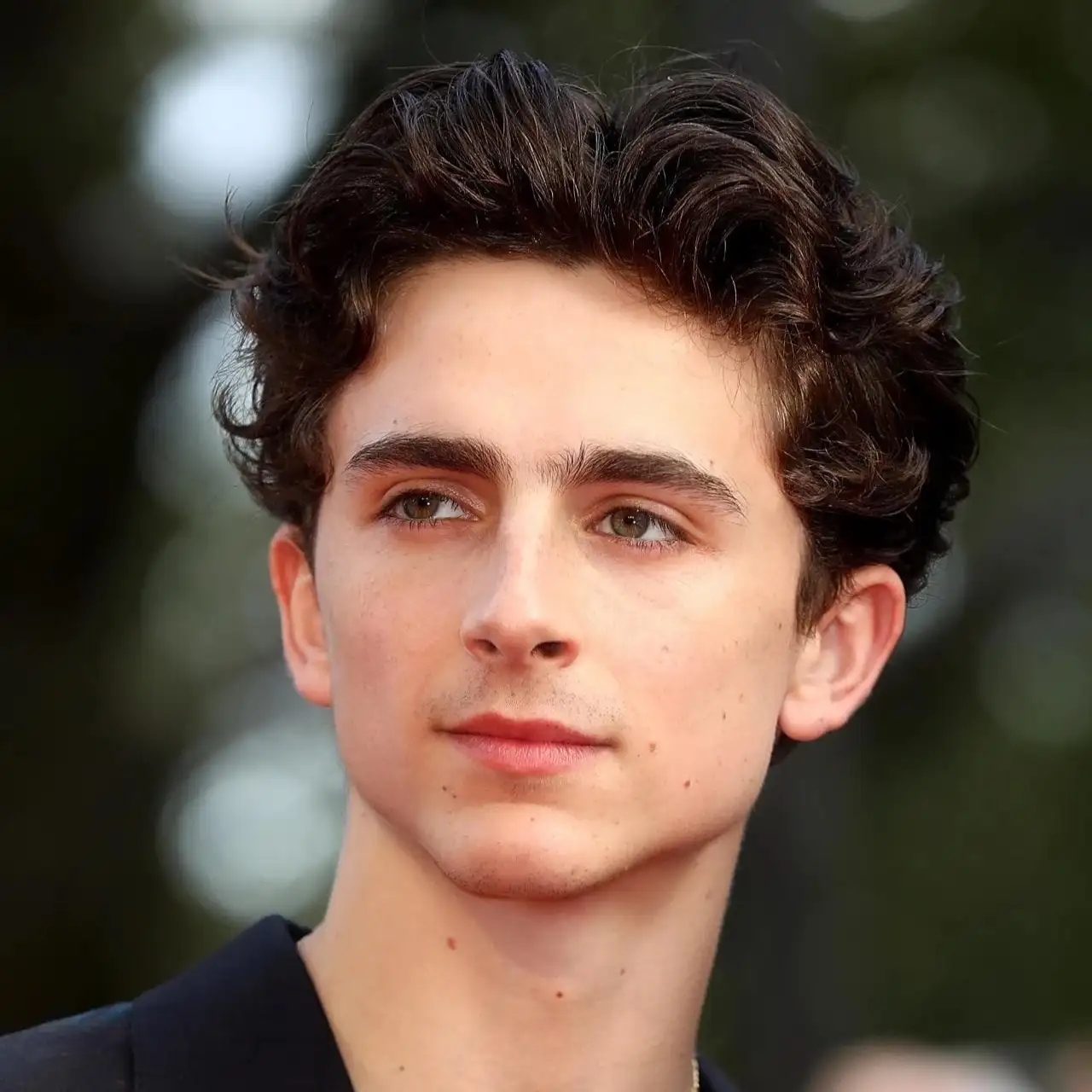 تیموتی شالامی