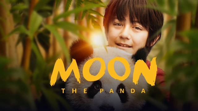 پاندایی به نام مون