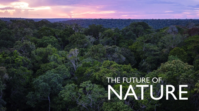 آینده طبیعت